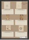 Stephanopyxis turris v. paucispina Grun. (de-Toni-Nr.: Genus 187, Species 4624) Zeichnungen Sammlung Grunow Nr. 8261 (NHMW-BOT-W0377657)